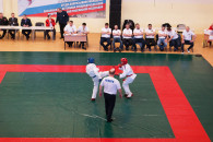 DSC05484