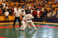 DSC05550