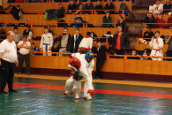 DSC05595